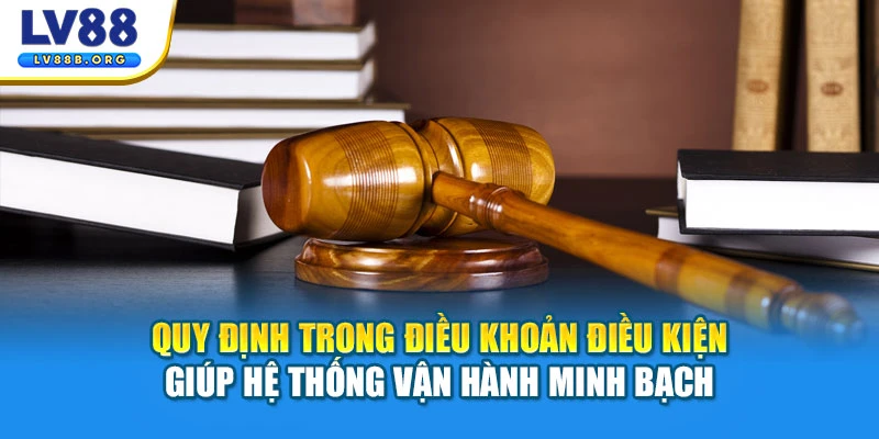 Quy định trong điều khoản điều kiện giúp hệ thống vận hành minh bạch